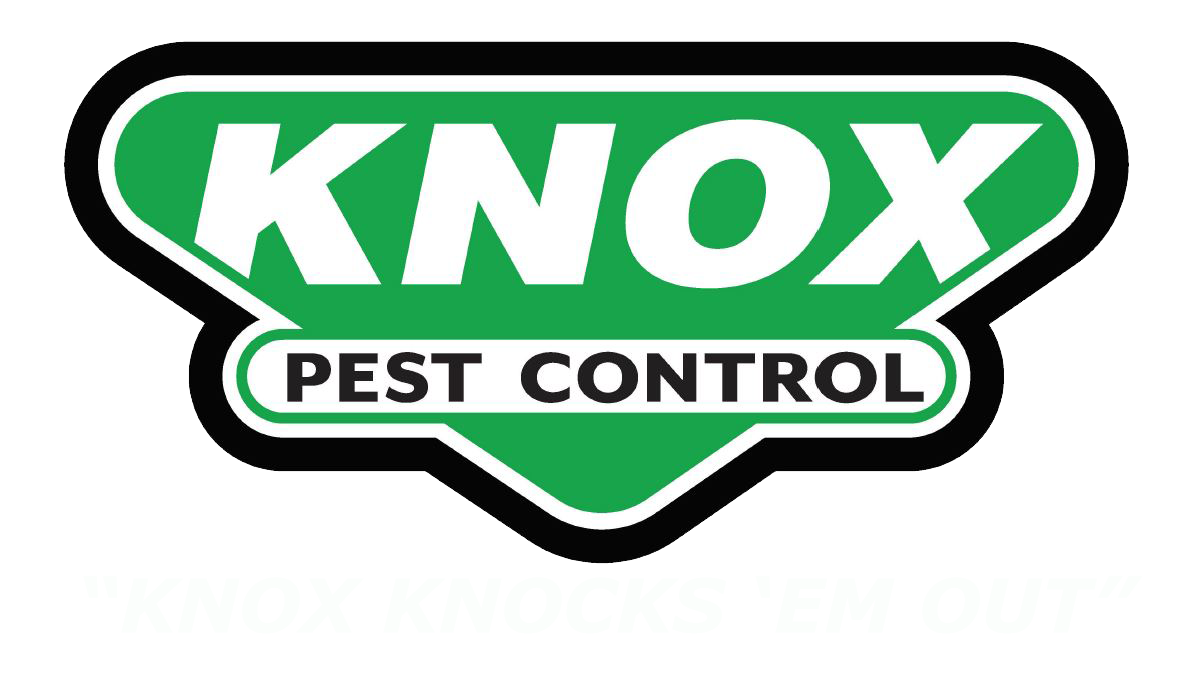 Knox Logo