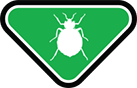 Icon of a bed bug