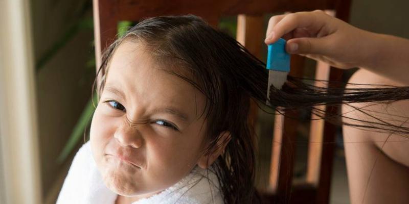 A girl getting lice combed out of her hair